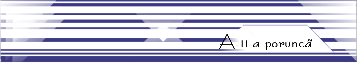 A-11-a porunc�