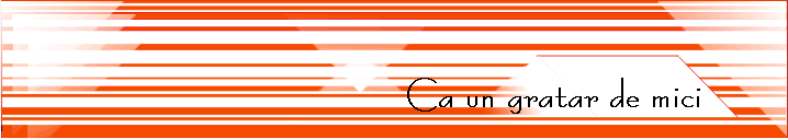 Ca un gratar de mici