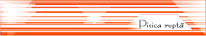 Pisica rupt�