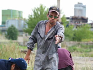 LEGIUNEA STRAINA 224